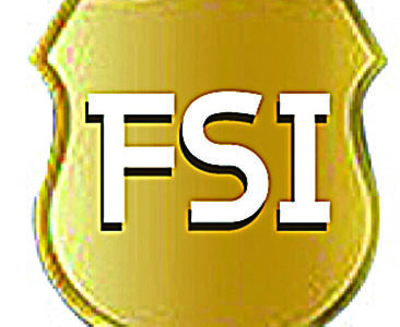 FSI Fraud Security Investigations